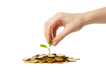 Hand planting seedling on coins