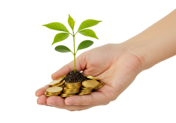 Hand holding growing plant and coins financial concept