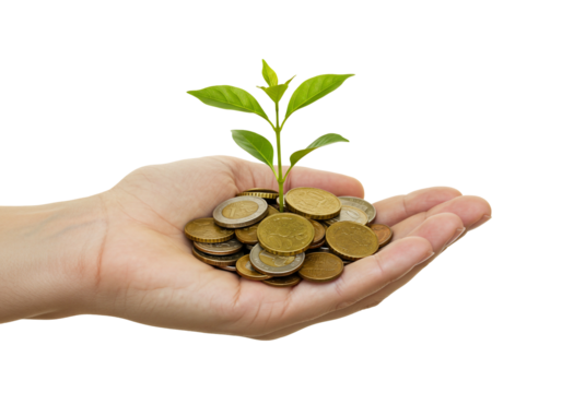 Hand holding coins with growing plant financial concept