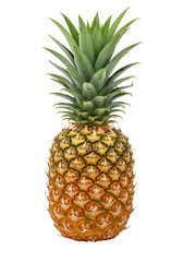 Fototapeta premium Pineapple fruit isolated on transparent background with green crown