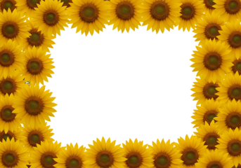Sunflower border frame transparent background