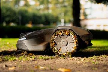 Autonomous robotic lawn mower operating on grassy garden lawn under sunlight using electric power...