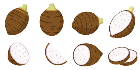 taro isolated on white background.vector cartoon style	