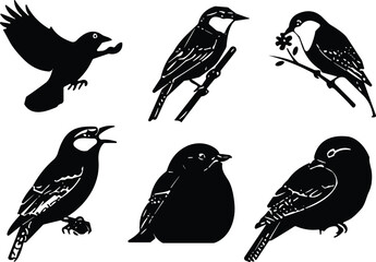 Bird silhouette vector illustration, flying and perched birds, black and white bird shapes, nature wildlife art, decorative animal graphic design