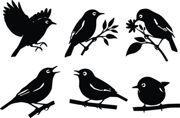 Bird silhouette vector illustration, flying and perched birds on branches, floral and leaf elements, nature wildlife design for decoration and print