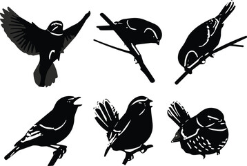 Bird silhouette vector set, perched and flying birds, black and white wildlife illustration, nature clipart, minimal design, isolated elements