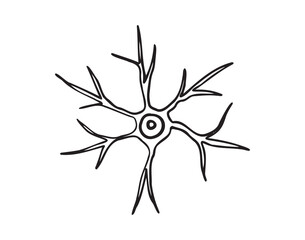 neuron cell doodle hand drawn icon. Outline pyramidal neuron cell drawing line clipart symbol