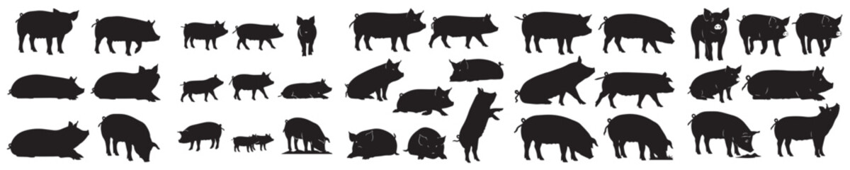Set of vector silhouettes of pig in various poses