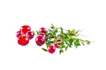 Red cranberries with twigs isolated on white background.