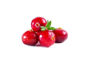 Red cranberries with twigs isolated on white background.