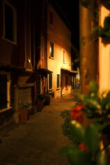 Venice's Street at Night