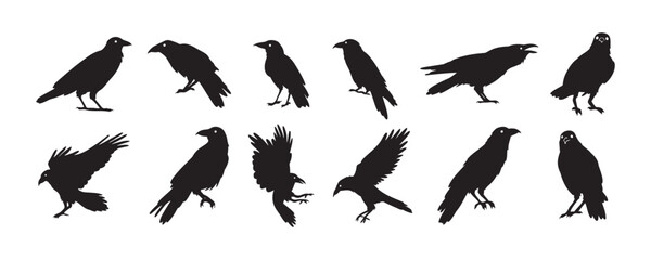 Crow isolated black silhouette set. Crows, raven halloween Dark birds icon clipart