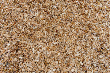 Background, large pile of wood chips on forest edge