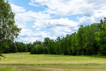 a meadow surrounded by forest under cloudy sky
