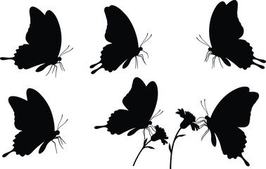 Butterfly silhouettes with flowers, black insect illustration, delicate wings design, pollination art, nature pattern, wildlife study, floral interaction, garden theme, decorative artwork