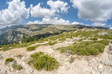 Landscape in La Pedriza, a large granite batholith in the Guadarrama Mountains, Spain; fisheye view
