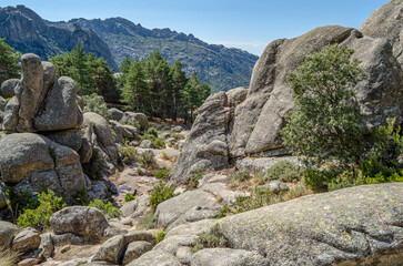 Landscape in La Pedriza, a large granite batholith in the Guadarrama Mountains, Spain