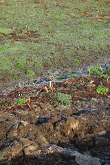 様々な地面のテクスチャ