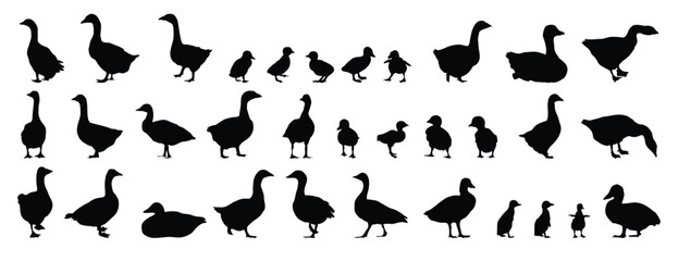 goose and gosling silhouette set. goose and gosling isolated farm animal silhouette icon vector collection © Yanka