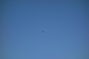 様々な空のテクスチャ