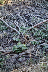 様々な地面のテクスチャ
