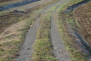 春の地面のテクスチャ