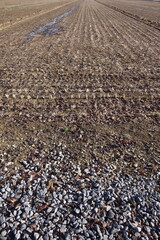 春の地面のテクスチャ