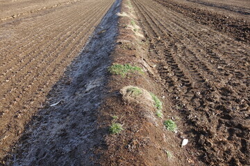 春の地面のテクスチャ