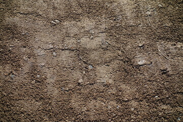 春の地面のテクスチャ