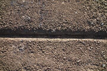 春の地面のテクスチャ