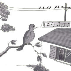 A Bird on Tree Branch Singing a Song with Woman Watching from a Window