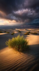 Fototapeta premium Dramatic desert landscape with sand dunes, vegetation, mountains, and stormy sky
