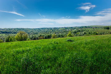 Obraz premium green field and blue sky