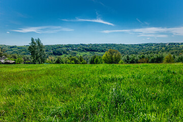 Fototapeta premium landscape with green grass and blue sky