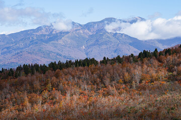 取立山の紅葉風景