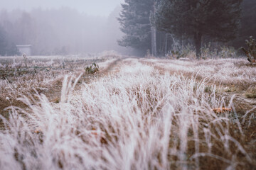 winter landscape in the morning