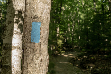 Blue Blaze Trail In Acadia