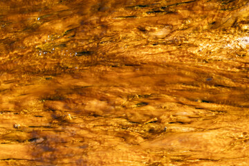 Excelsior Geyser Crater, Midway Geyser Basin Trail. Yellowstone National Park , Wyoming. Hydrothermal System.  Extremophile. hot-spring deposits
