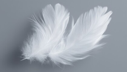 Obraz premium Elegant White Duck Feathers For Sale: Perfect For Crafting, Diy Projects, Or Home Decor. These High-Quality Feathers Are Versatile And Beautiful.