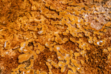 Black Sand Basin is one of a grouping of geothermal hot springs and geysers. Upper Geyser Basin,...