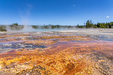 Black Sand Basin is one of a grouping of geothermal hot springs and geysers. Upper Geyser Basin, Yellowstone National Park, Wyoming. Hydrothermal System. hot-spring deposits. Extremophile. 
