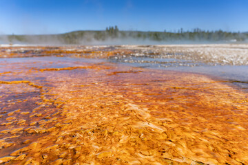 Black Sand Basin is one of a grouping of geothermal hot springs and geysers. Upper Geyser Basin, Yellowstone National Park, Wyoming. Hydrothermal System. hot-spring deposits. Extremophile. 
