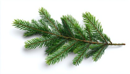 Realistic Christmas Tree With Spruce Branch On White Background: Perfect For Xmas Cards, Flyers, And New Year Party Posters!