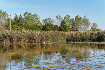Pond at Liberty State Park in Jersey City.