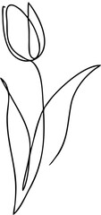 vector illustration of an abstract flower