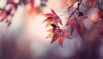 Soft Ed Gradients In Blurred Autumn: A Seasonal Graphic Design Perfect For The Fall Season, Featuring Gentle Blurs And Warm Tones.