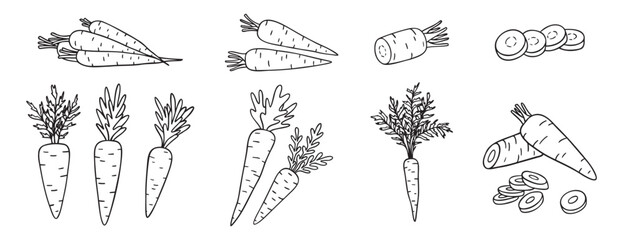 carrots, whole vegetable and piece of carrot doodle hand drawn icon set. Outline drawing carrot line clipart symbol collection