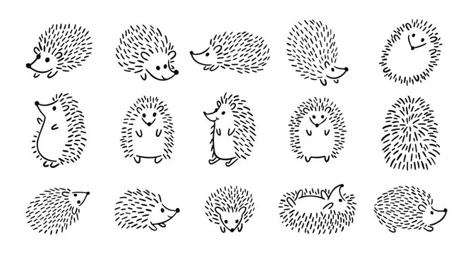 Doodle hand drawn cute hedgehog set. Hand drawn adorable hedgehog collection. Outline drawing for children.
