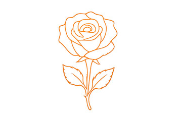Hand drawn orange rose line art drawing