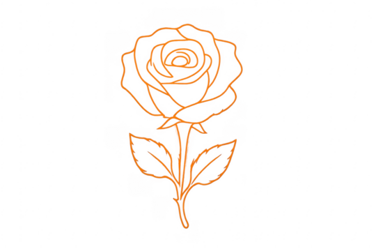 Hand drawn orange rose line art drawing